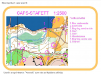  http://www.aktivitetsbanken.no/media/uploads/attachments/NOF_CAPS-STAFETT_2012.pdf